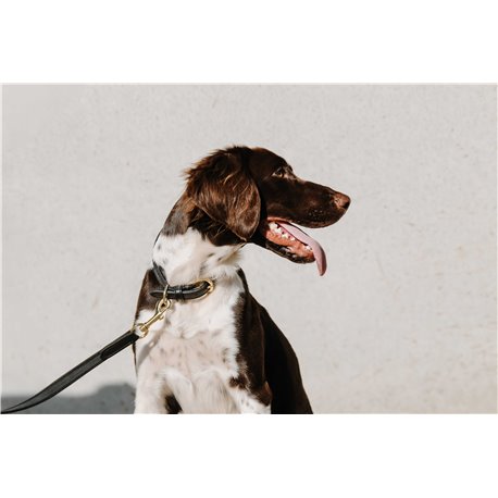 EQUITHÈME - Nala - Hundehalsband