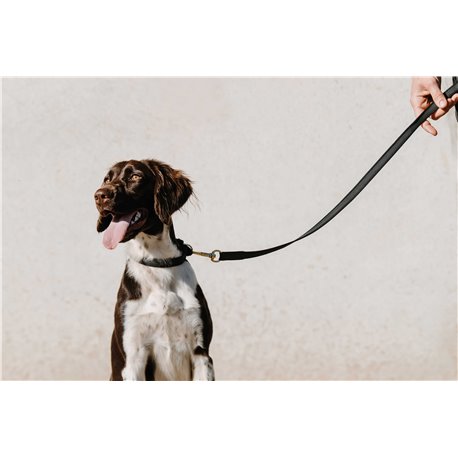EQUITHÈME - Nala - Hundehalsband