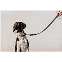 EQUITHÈME - Nala - Hundehalsband