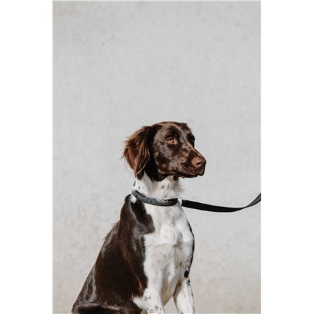 EQUITHÈME - Nala - Hundehalsband