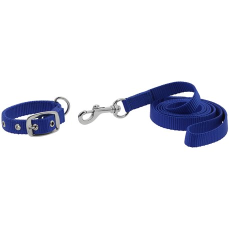 RIDING WORLD - Oscar - Hundehalsband und Leine