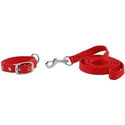 RIDING WORLD - Oscar - Hundehalsband und Leine 2
