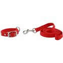 RIDING WORLD - Oscar - Hundehalsband und Leine