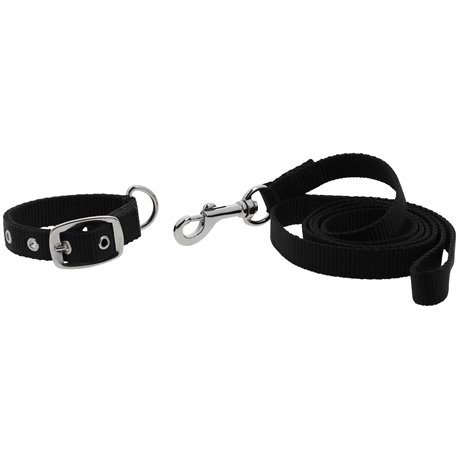 RIDING WORLD - Oscar - Hundehalsband und Leine