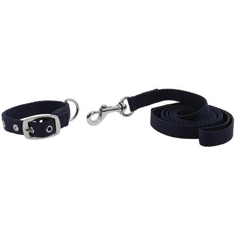 RIDING WORLD - Oscar - Hundehalsband und Leine