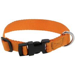 RIDING WORLD - Pat - Hundehalsband 2