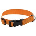 RIDING WORLD - Pat - Hundehalsband