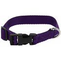 RIDING WORLD - Pat - Hundehalsband