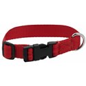 RIDING WORLD - Pat - Hundehalsband