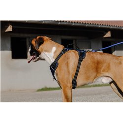 RIDING WORLD - Simba - Hundegeschirr 2