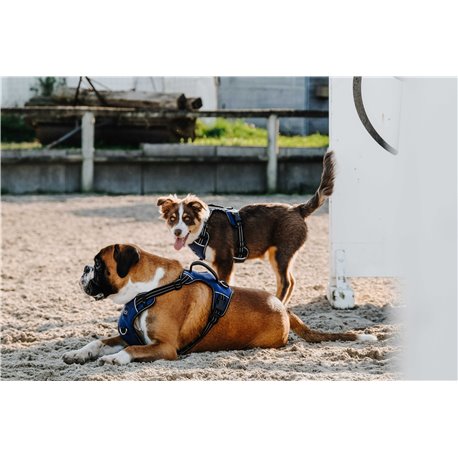 RIDING WORLD - Simba - Hundegeschirr