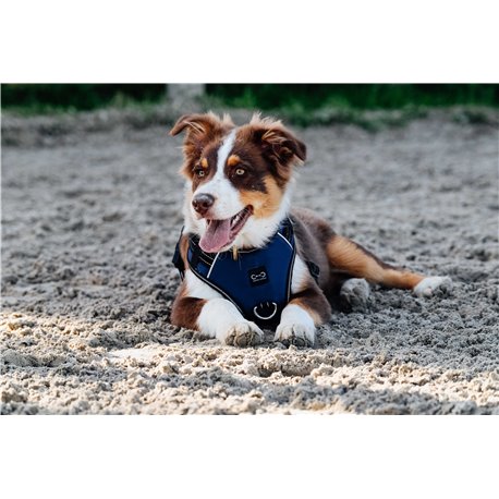 RIDING WORLD - Simba - Hundegeschirr