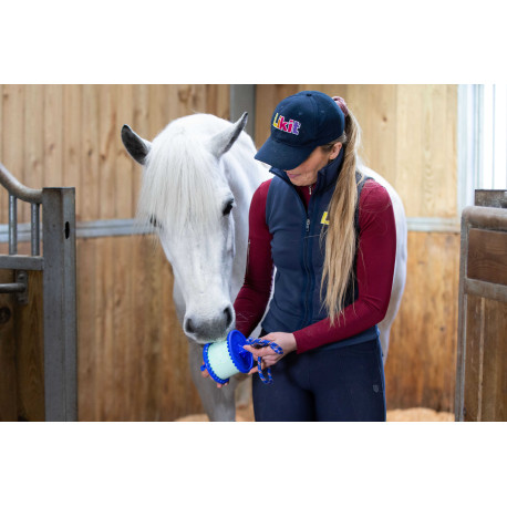 Likit Boredom Buster