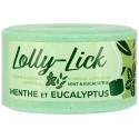 Pierre à sel HIPPOTONIC - LOLLY-LICK 700 g