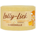 Pierre à sel HIPPOTONIC - LOLLY-LICK 700 g