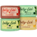 Pierre à sel HIPPOTONIC - LOLLY-LICK 700 g