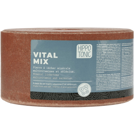 Salzstein HIPPOTONIC - Mineralblock 3kg