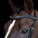 Imperial Riding Trense für glamourösen Komfort