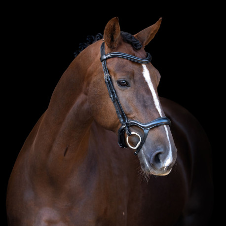 Imperial Riding Trense für glamourösen Komfort