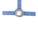 Halfter Satin