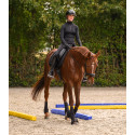 Bodenarbeitsgassen, 2er Set, 3 m