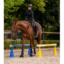 Pylônes XL 50cm, lot de 8, sac de transport 2