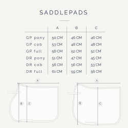 Saddlepad HVP ELISA GP 2