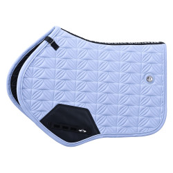 Tapis de selle HVP ELISA  GP