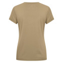 Holographics-Top