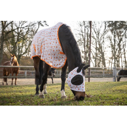 Fliegendecke -Splash