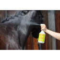 ZEDAN lotion répulsive contre les insectes