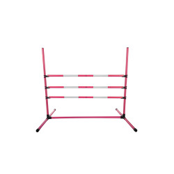 Hobby Horsing-Sprung-Set
