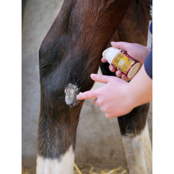 KEVIN BACON'S Creme – DermaProtek