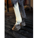 Argile refroidissante KEVIN BACON'S - Fresh Clay
