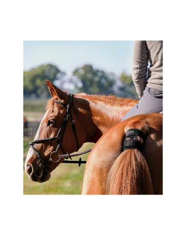 GARMIN Blaze™ Système de bien-être équin