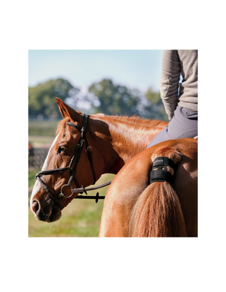 GARMIN Blaze™ Système de bien-être équin