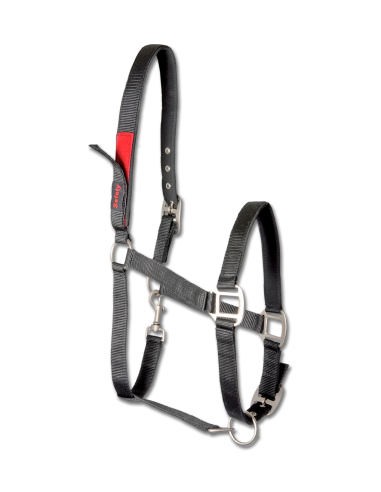 Licol pour Poulain Triple