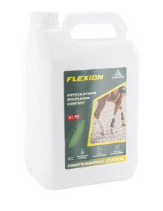 Flexion 2