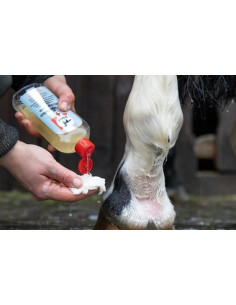 Leovet Med. Waschlotion 250ml 2