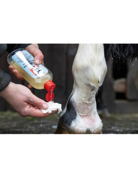 LEOVET MED. WASCHLOTION 250ML