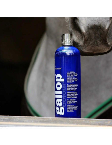 Shampoing Gallop® CARR & DAY & MARTIN Gris