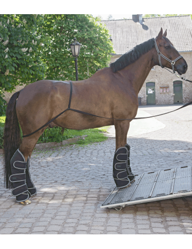 Waldhausen Enrênement pour le travail à la longe Equibender
