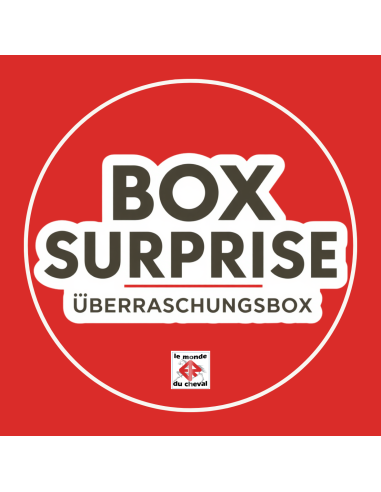 Reitsport-Überraschungsbox – für Erwachsene oder Kinder
