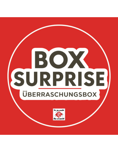Box Surprise Équestre – Adulte ou Enfant