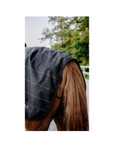 TYREX EQUITHÈME Nierendecke – Lumin 600D 2