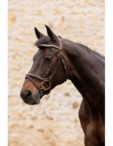 Trense K von EQUITHÈME – K-KAPTURE