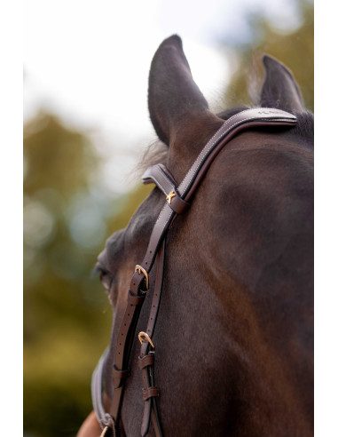 Bridon K by EQUITHÈME K-KONNECT