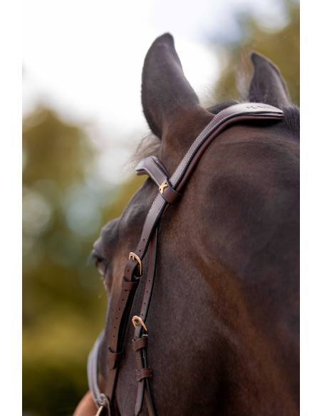 Bridon K by EQUITHÈME K-KONNECT