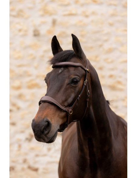 Bridon K by EQUITHÈME K-KONNECT
