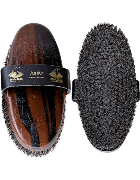 BROSSE JUNIOR HAAS